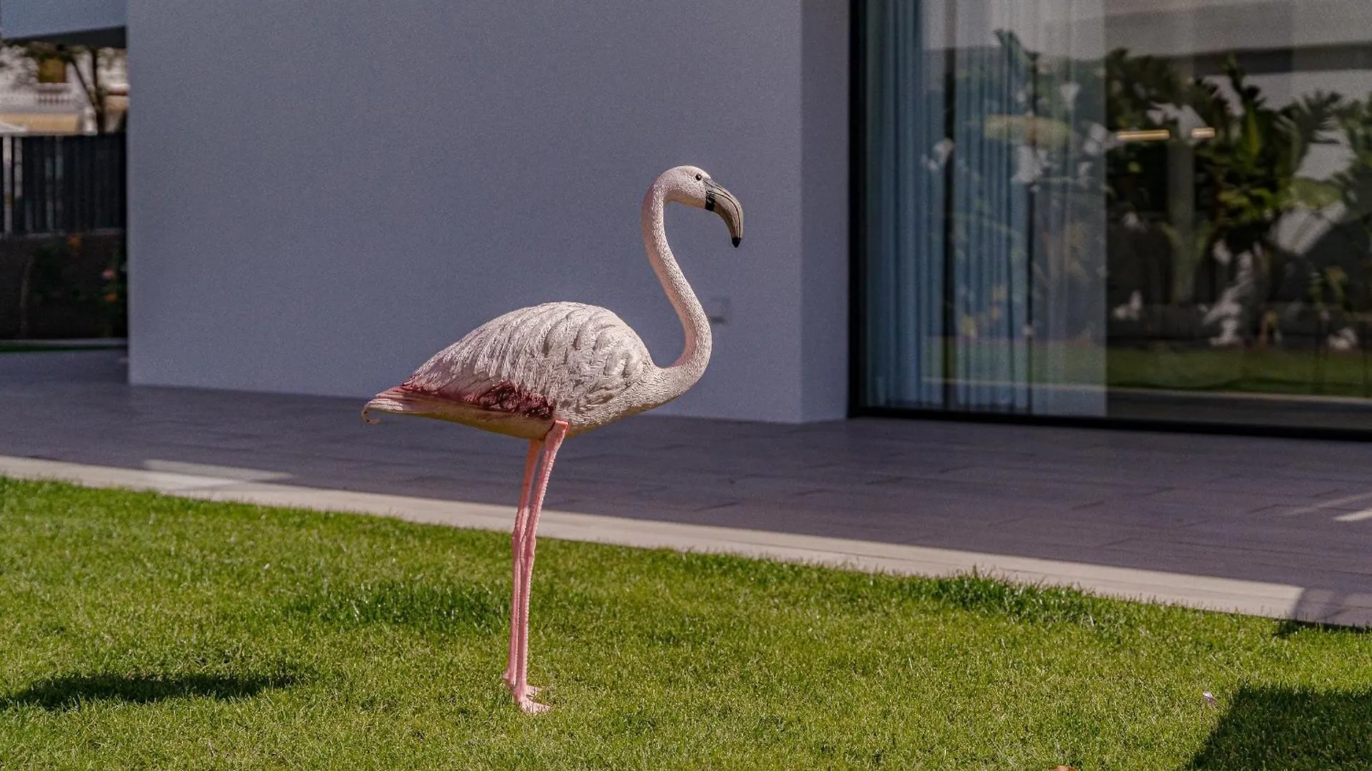 Apartment Don Carlos Sea View - Adults Only ! Playa de las Américas